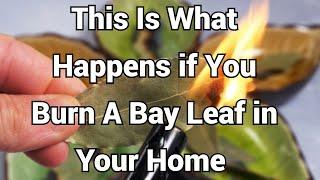 This Is What Happens If You Burn A Bay Leaf In Your Home Plus 7 Other Uses