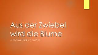 Aus der Zwiebel wird die Blume in F - Klavierbegleitung und Text zum Mitsingen