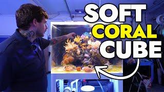 Introducing the NEW Soft Coral Cube at the Reef Builders Studio