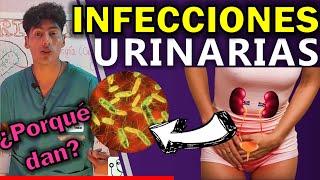 INFECCIÓN URINARIA EN MUJERES CAUSAS  GuiaMed