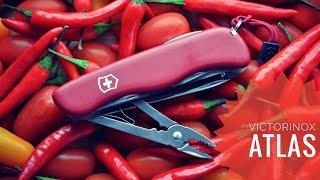 нож victorinox atlas. обзор