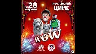 цирковое Шоу WOW 1 отделение в Ярославском цирке