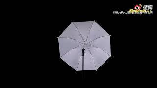 Introduction to the use of NiceFoto reflector umbrella