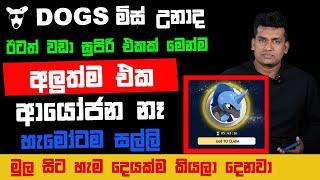 MysterPentagon Airdrop A to Z Guide and Tips Sinhala  අලුතින්ම ආපු Pentagon  ගැන සියල්ලම සරලව