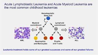 Age and Mutation Profile-Specific Mechanisms of Pediatric Leukemia Initiation with Jeffrey Magee