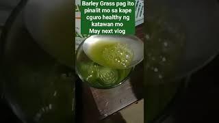 BARLEY GRASS POWDER #barleygrass #barleygrasspowder