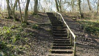 Colwick Wood  Discovering Nottinghamshire