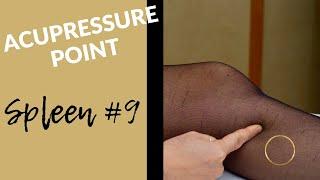 Acupressure Point Spleen #9  Self Acupressure