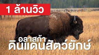 สารคดี สำรวจโลก ตอน อลาสก้า ดินแดนสัตว์ยักษ์ ค้นหาสัตว์ป่าน่าพิศวงสุดแดนขั้วโลกเหนือ