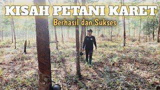 CARA MENYADAP KARET YANG CEPAT - PETANI KARET SUKSES ‼️