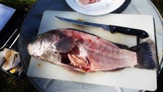 How to Fillet a Fish quick and easy way