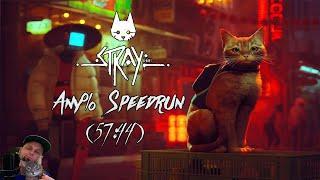 Stray Any% PC Speedrun 5744