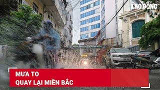 Mưa to quay lại miền Bắc  Báo Lao Động