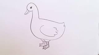 how to draw duck drawing easy step by step@Kids Drawing Talent
