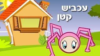 עכביש קטן - שיר ילדים - שירי ערוץ בייבי