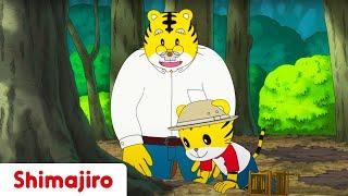 Exploring Nature with Grandpa    Fathers Day Special  Kids videos for kids  Shimajiro