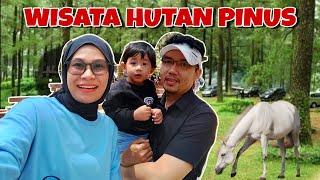 WISATA HUTAN PINUS MALINO ‼️VLOG MALINO PART 2