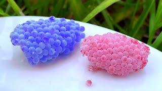 ASMR Crushed snail eggs  Apple snail Eggs 20 Minutes ASMR Relaxing Hungry And Deep Sleep