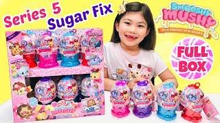 NEW SERIES 5 SMOOSHY MUSHY SUGAR FIX SQUISHIES UNBOXING  FULL CASE GUMBALL MACHINES SQUISHY HAUL