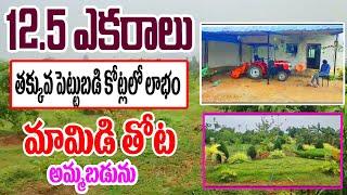 12 Acre 50 Cents Land For Sale In Vizianagaram  Agricultural Property Sale  Property Promotion Tv