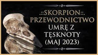  SKORPION - Przewodnictwo - Umrę z tęsknoty Tarot Maj 2023