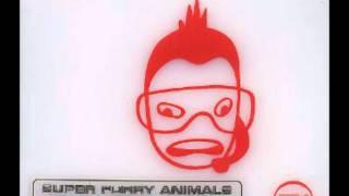 Super Furry Animals - Ice Hockey Hair full length