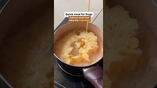 Quick meal for dogs  Delicious Winter Food  Egg Soup