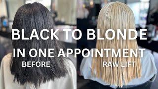 Epic Black to Blonde Hair Transformation One-Day Color Correction Tutorial