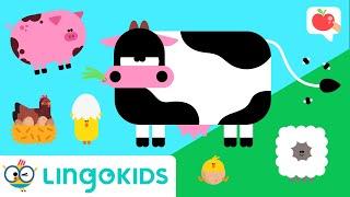 FARM ANIMALS for toddlers  VOCABULARY SONGS and GAMES  Lingokids