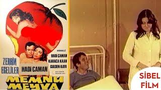 Memnu Meyva Türk Filmi  Hadi Çaman  Zerrin Egeliler  Sibel Film