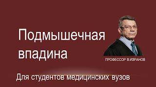 Подмышечная впадина Топография. Стенки. Содержимое.