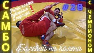 #28SAMBOСАМБОРЫЧАГ КОЛЕНА КУВЫРКОМ в партере KNEEBARЧЕМПИОН по САМБО ДЗЮДО В.МацковSambi.st