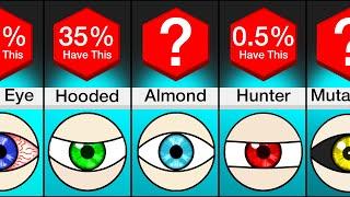 Comparison Different Types Of Eyes