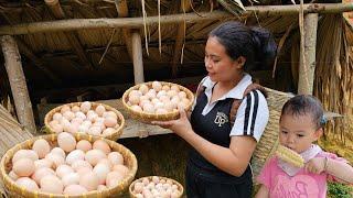 A bountiful harvest of chicken eggs and corn on the mother and daughters farm