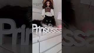 Kedim Luna o bir prenses #shorts #trending #tiktok #cat #kediler #reels #youtube