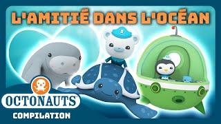 Octonauts - 🫶 LAMITIÉ dans locéan 🪸  Compilation  Dessins animés pour enfants