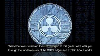 XRP Ledger Explained A Beginners Guide to Understanding the Fundamentals