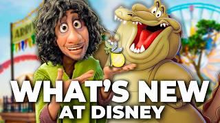 Top 10 New Disney Rides Updates & Changes in 2024 - Walt Disney World & Disneyland