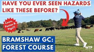 HAVE YOU EVER SEEN A GOLF COURSE LIKE THIS? Bramshaw Golf Club - Forest Course 2023 Full Course Vlog