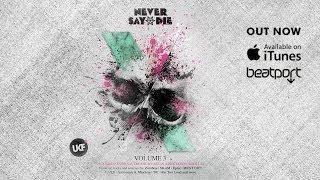 Never Say Die Vol. 3 Album Megamix