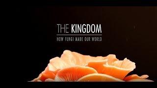 Království Jak houby stvořily náš svět