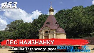 53 Лес наизнанку Тайны Татарского леса