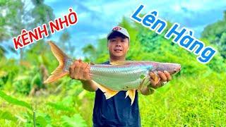 Bị Dụ Xuống Kênh Nhỏ Ở Hậu Giang Câu Cá Và Cái Kết  Tân CT Fishing.