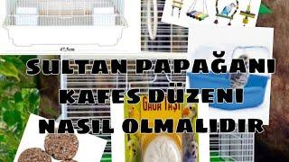 kafes düzeni nasıl olmalıdır #kafesdüzeni #sultanpapağanı