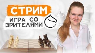 Играю в шахматы комментирую и общаюсь с чатом