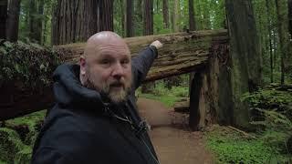 I Stopped By Endor  Star Wars ROTJ Shooting Location at Cheatham Grove