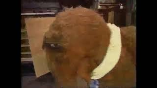 Classic Sesame Street - Snuffys Morning Jog st  scene