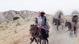 Two-person donkey ride Two-person adventure experience donkey riding in the heart of nature 