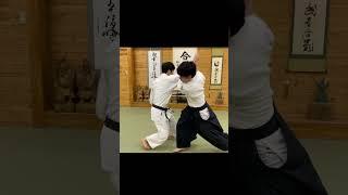 This Aikido master disable dynamic and sharp throws