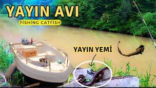 Dip Oltası İle Yayın Avı  Yem Nasıl Takılır ?  Balık Avı  Catfish Hunting